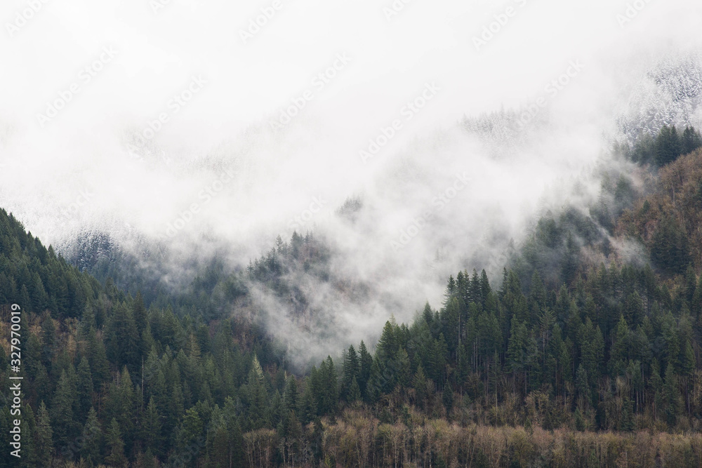 Snow capped mountain range with forest in the fog Snow capped mountain range with forest in the fog