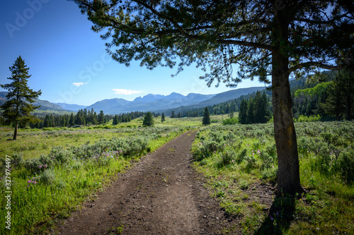 Trail Winds Toward Mountains in Yellowstone Wilderness