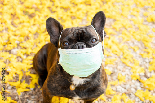 protect yourself from viruses please