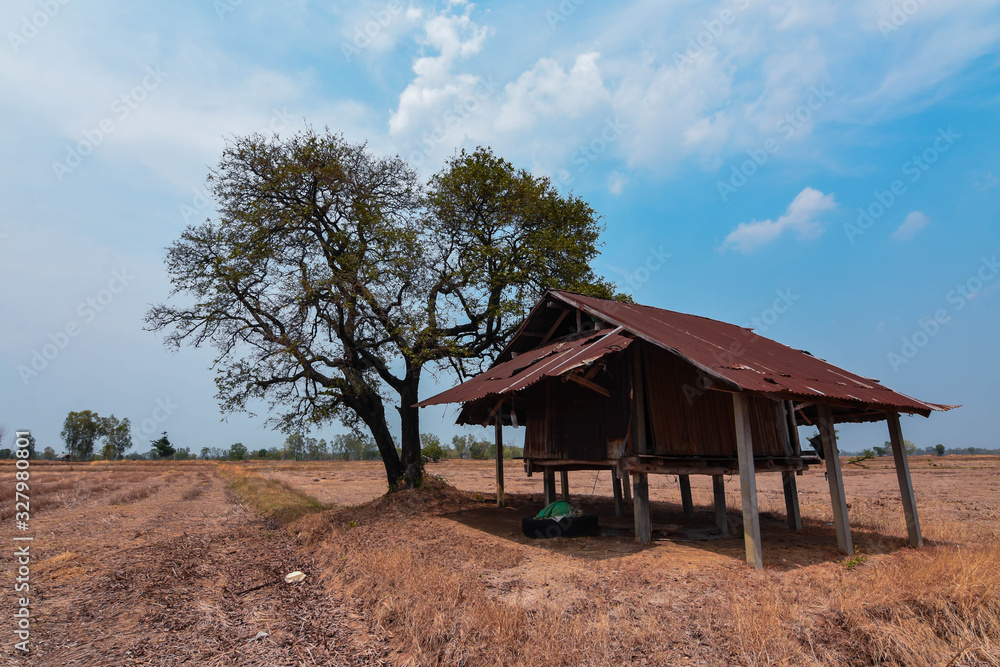 Wooden cabins, trees leave leaves in arid fields Global warming is threatening Southeast Asia, Burma, Laos, Thailand, Cambodia.