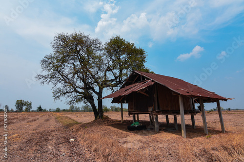 Wooden cabins, trees leave leaves in arid fields Global warming is threatening Southeast Asia, Burma, Laos, Thailand, Cambodia. © neenawat555