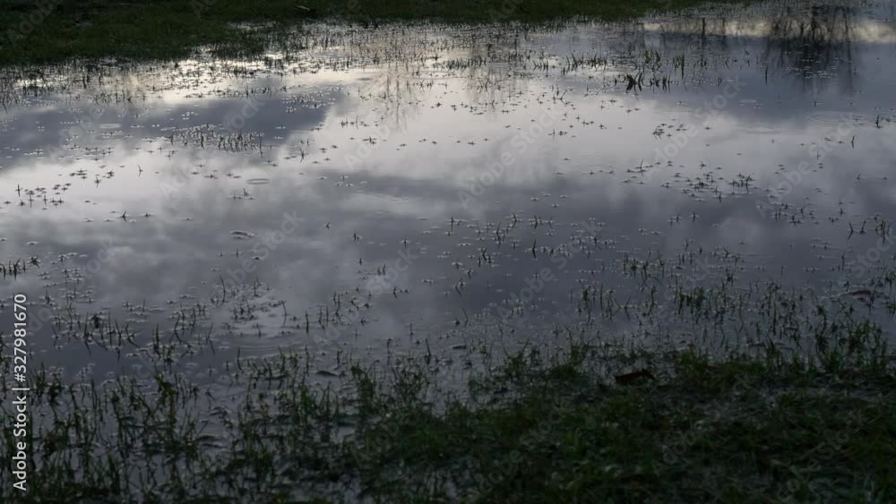 A water puddle on the grass after a rainfall - close up A water puddle on the grass after a rainfall - close up
