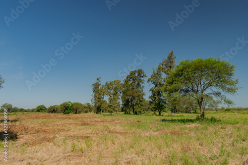 Fotografia Paisajes de campo, castelli - chaco - argentina