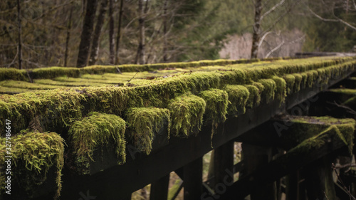 mossy train trestle 