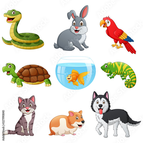 Set of pets cartoon. Vector illustration