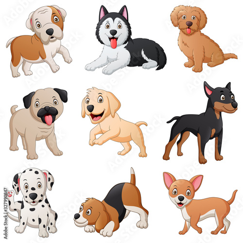 Fototapeta Naklejka Na Ścianę i Meble -  Set of cute dog cartoon. Vector illustration