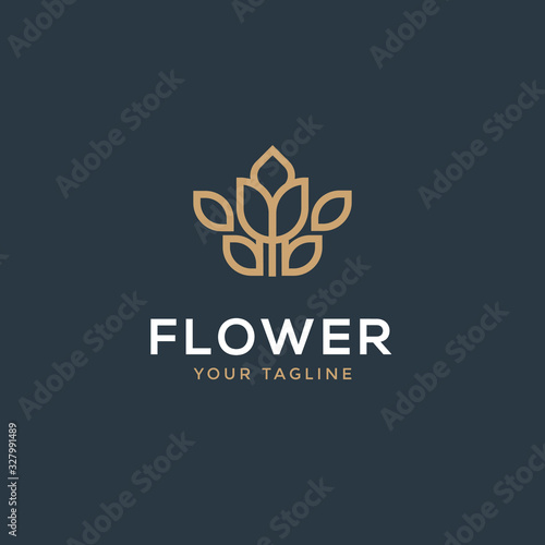 Abstract flower logo icon vector design. Cosmetics, Spa, Beauty salon Decoration Boutique vector logo. Floral logo.wedding icon. Luxury spring and summer, emblem