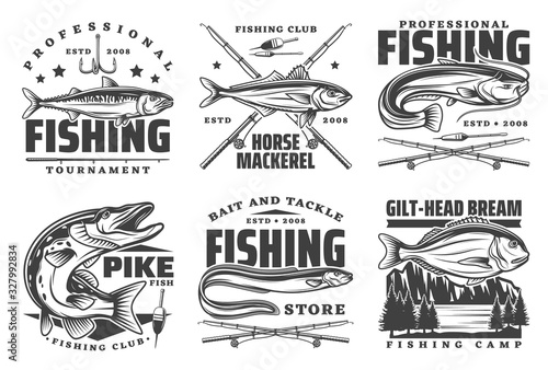 Fishing icons and fisherman club signs, sport tournament and fish catch lures, baits and tackles shop icons. Vector river sheatfish, pike and gilt-head bream, sea mackerel and eel fish
