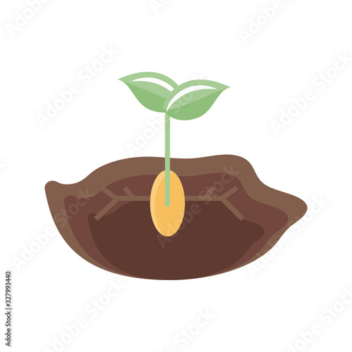 plant seed growing in the ground icon, flat detail style