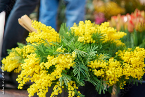Fototapeta Naklejka Na Ścianę i Meble -  Mimosa spring. Bunches of different colorful flowers in buckets on street flower market in Anemone, poppy