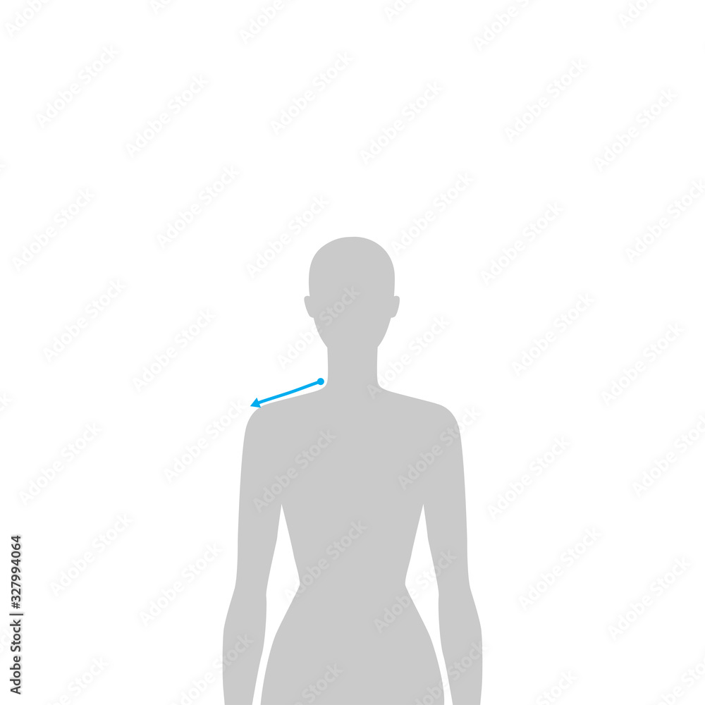 Women measurements fashion. Women measurements fashion.