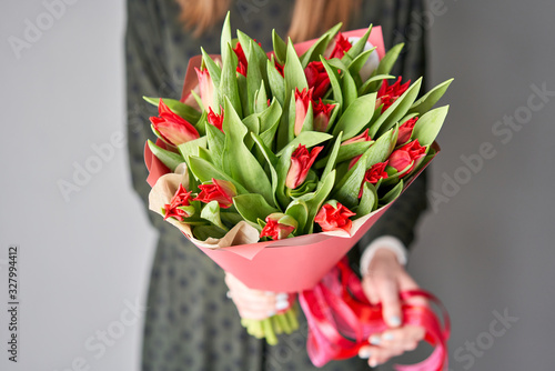 Red color tulips in woman hand. Young beautiful woman holding a spring bouquet. Bunch of fresh cut spring flowers in female hands