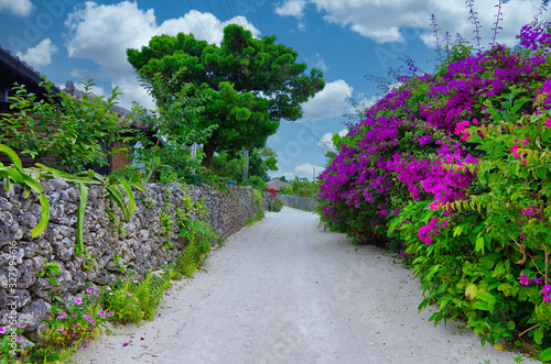 Path in Taketomi island  Okinawa