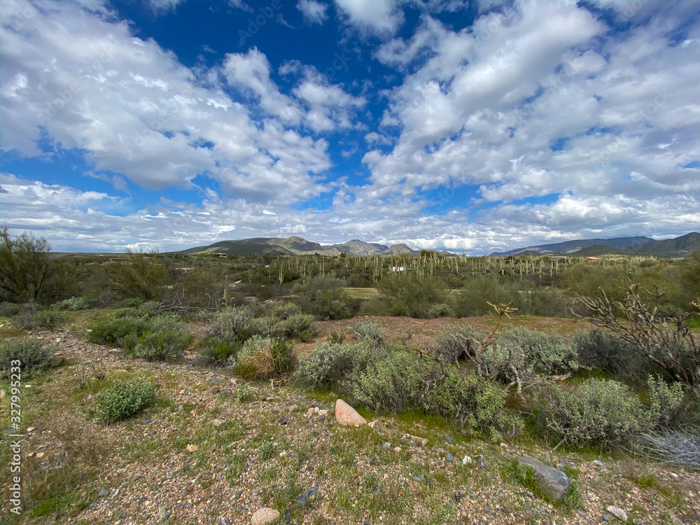 Fototapeta premium Blue sky cloud pattern desert