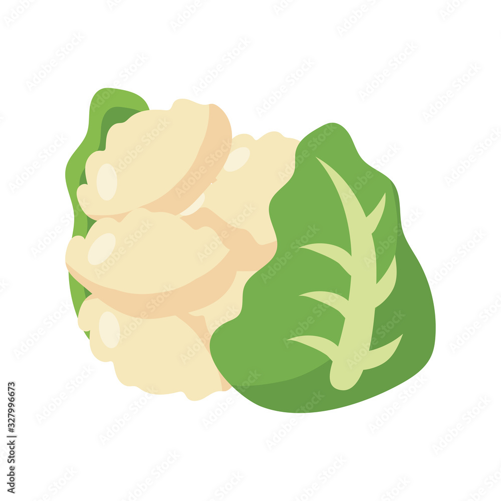 Fototapeta premium cauliflower icon, flat detail style