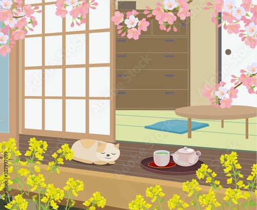縁側でお昼寝する猫