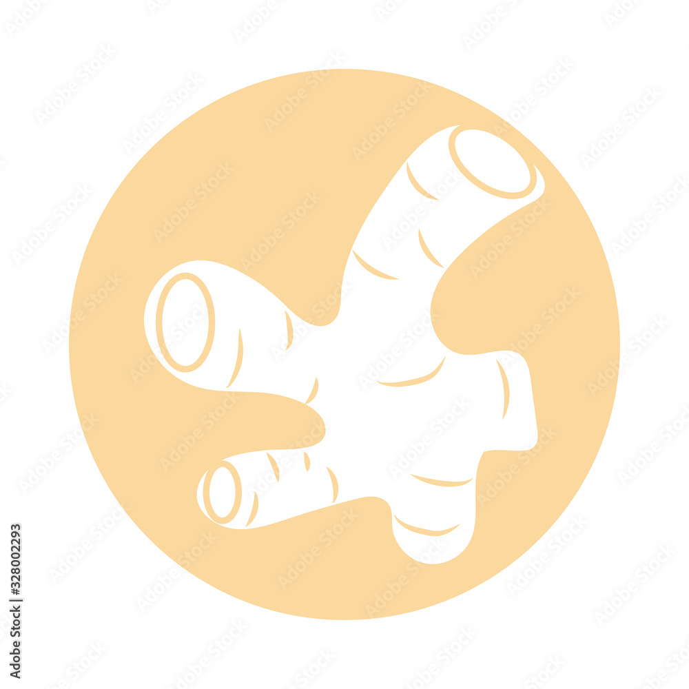ginger vegetable icon, block style ginger vegetable icon, block style