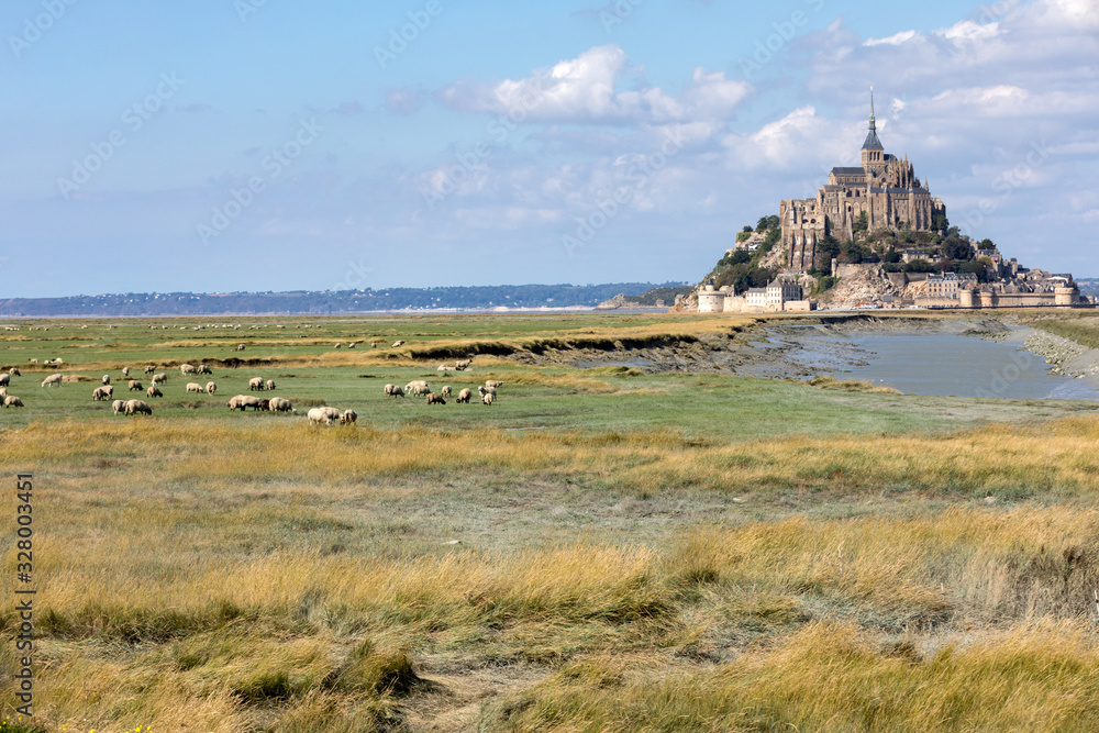 custom made wallpaper toronto digitalA flock of sheep grazing on the salt meadows close to the Mont Saint-Michel tidal island under a summer blue sky. Le Mont Saint Michel, France