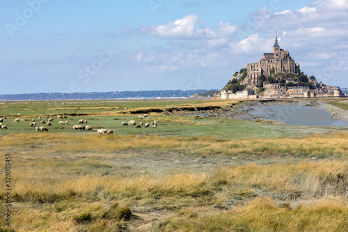 Wallpaper Mural A flock of sheep grazing on the salt meadows close to the Mont Saint-Michel tidal island under a summer blue sky. Le Mont Saint Michel, France Torontodigital.ca