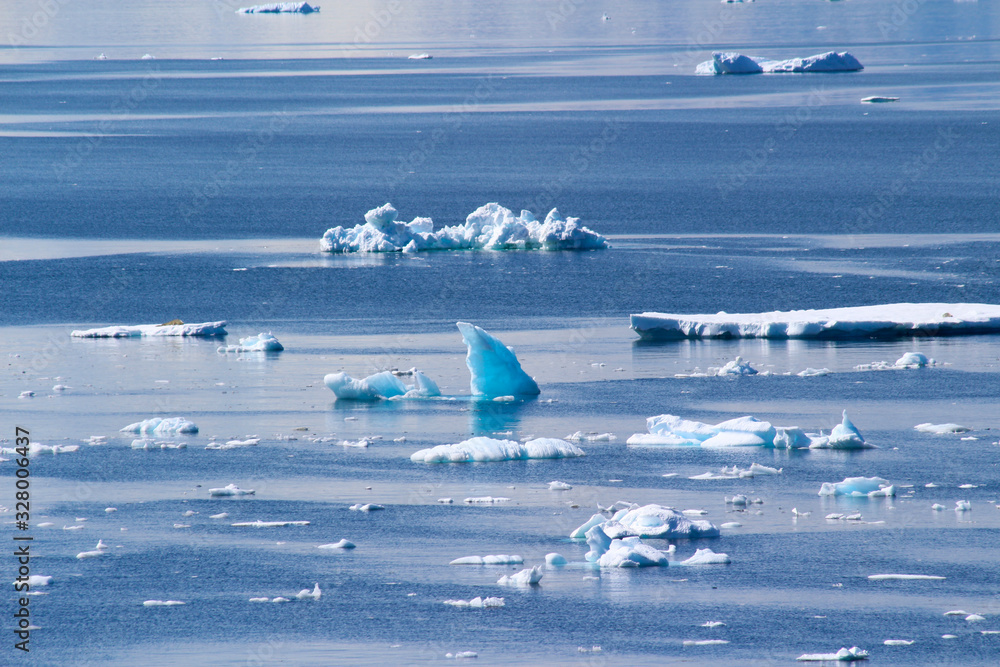 Ice floating in the waters of Antarctica. Danco Coast, Antarctic Peninsula, Antarctica