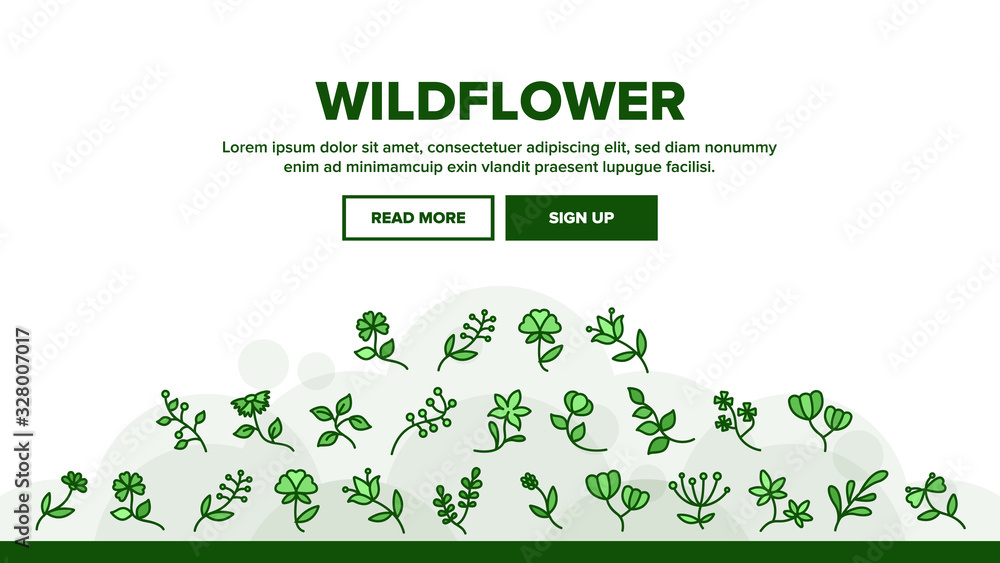 Wildflower Natural Landing Web Page Header Banner Template Vector. Wildflower Branch And Flower Bouquet, Blooming Nature Floral Botany Plant Illustration