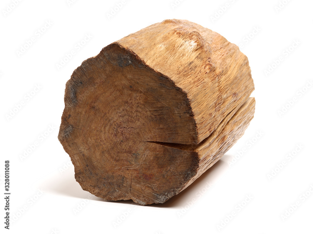 log isolated on a white background log isolated on a white background