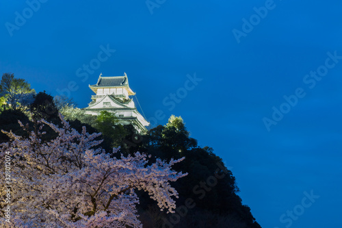 Inuyama castle with beautiful cherry blossom. photo