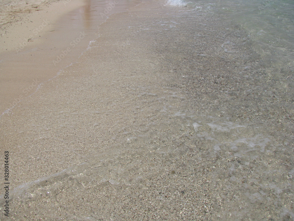 Obraz premium abstract natural background small fishes in coastal water on a background of sand in the Red Sea
