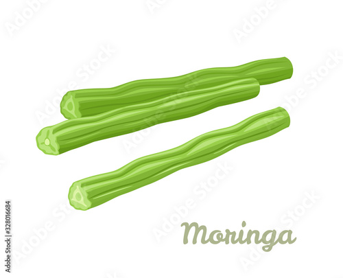 Moringa Oleifera isolated on white background. Seed Pods Drumstick Tree. Vector illustration of Superfood in cartoon flat style. Drumstick Vegetables icon.