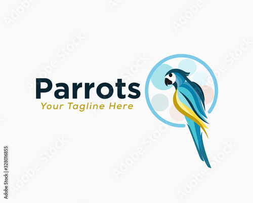 Colorful parrot on circle logo design inspiration