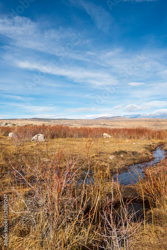 stream flowing into brown winter grass on hillside in California Sierra Nevada mountains