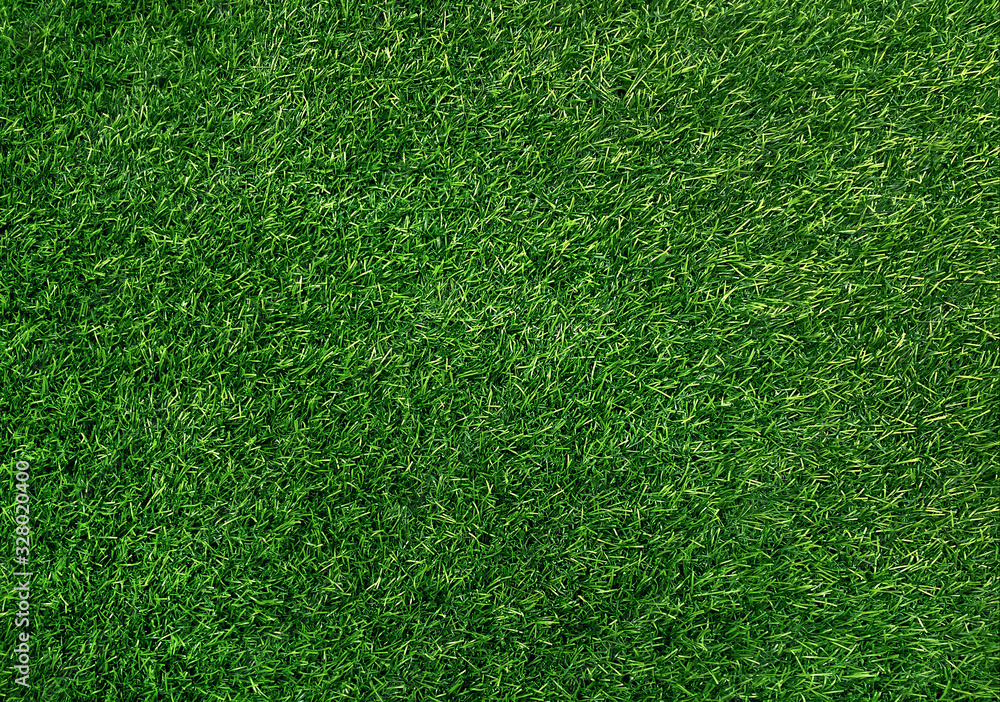 Obraz premium Green Grass texture background, space for text