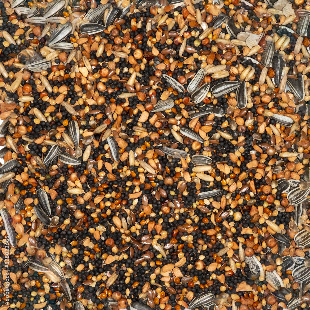 Strukturen und Muster Wildvogelfutter Strukturen und Muster Wildvogelfutter
