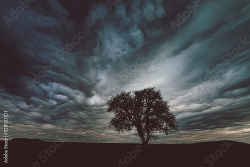 Tree Silhouette with Dramatic Dlouds on Sky photo