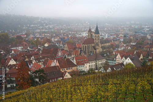 Panoramic view of Esslingen under vineyard with historic church on autumn day with misty weather photo