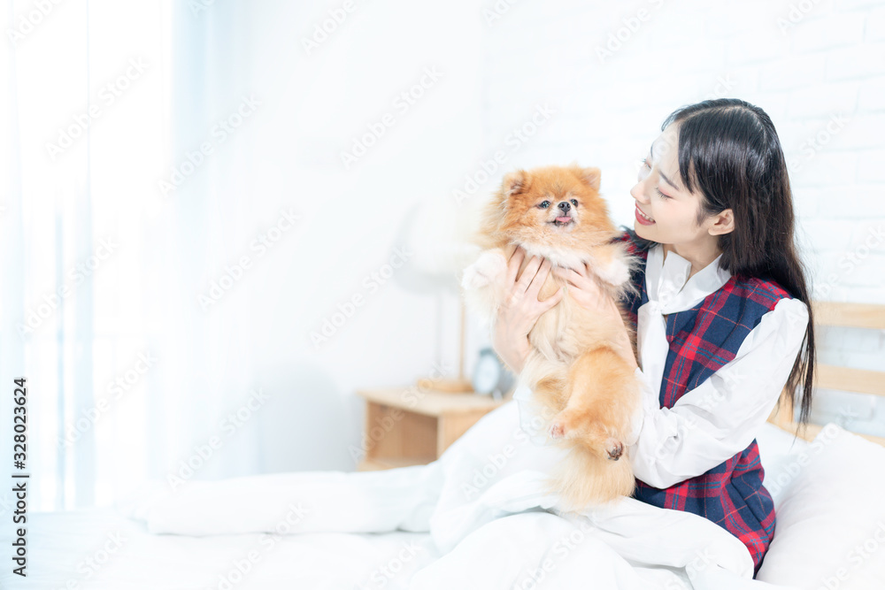 Pet Lover Concept. Girl and small dogs Pomeranian Spitz Looking forward. Asian girl and puppy looking forward in bed room. Space for text. Pet Lover Concept. Girl and small dogs Pomeranian Spitz Looking forward. Asian girl and puppy looking forward in bed room. Space for text.