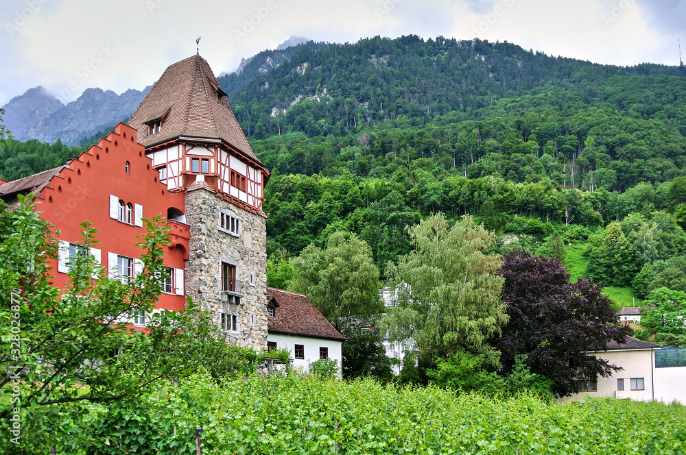 Vaduz, Liechtenstein - Grape plantations, green plants, a red building with a tower, alpine mountains covered with forests, in the summer afternoon.