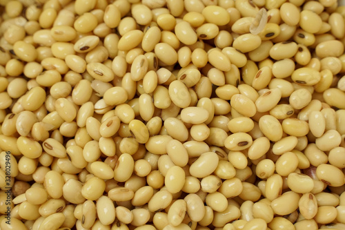 Top view of soybean which is rich of protein © SMPTY