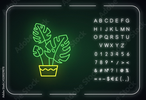 Monstera deliciosa neon light icon. Swiss cheese plant. Philodendron. Indoor tropical plant. Outer glowing effect. Sign with alphabet, numbers and symbols. Vector isolated RGB color illustration