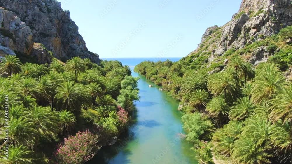 Palm trees surrounding a pristine river flowing towards Preveli beach in Crete island. Aerial Palm trees surrounding a pristine river flowing towards Preveli beach in Crete island. Aerial