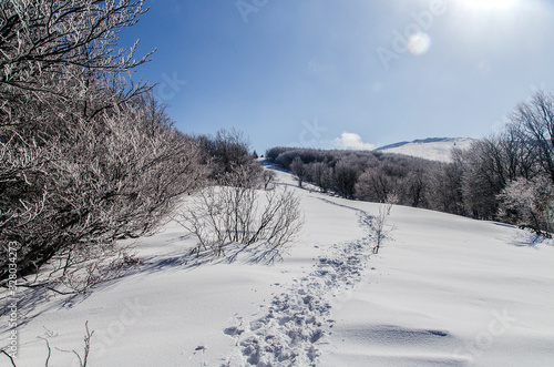 Połonina wetlińska Bieszczady w zimowej szacie 