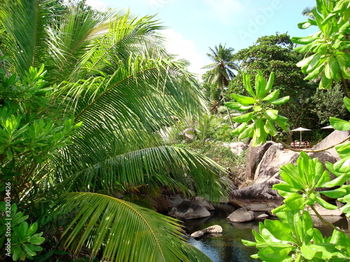 Seychelles - Paysages - Palmiers - Voyage - Faune et Flore - Océan Indien