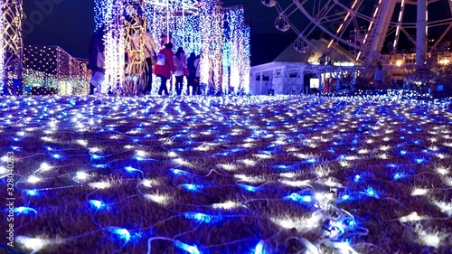 イルミネーションの海