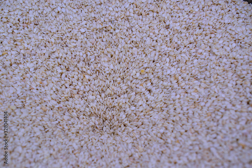 White sesame seeds for background. Conical location. © Sergei Tim