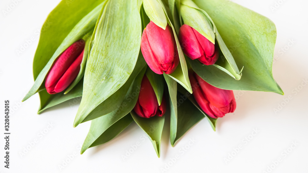 Bouquet of tulips isolated on white background Bouquet of tulips isolated on white background