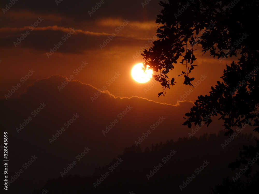 Fototapeta premium sunset behind a tree and clouds 