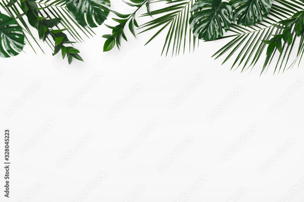 Green tropical, palm leaves, leaf branches on white background