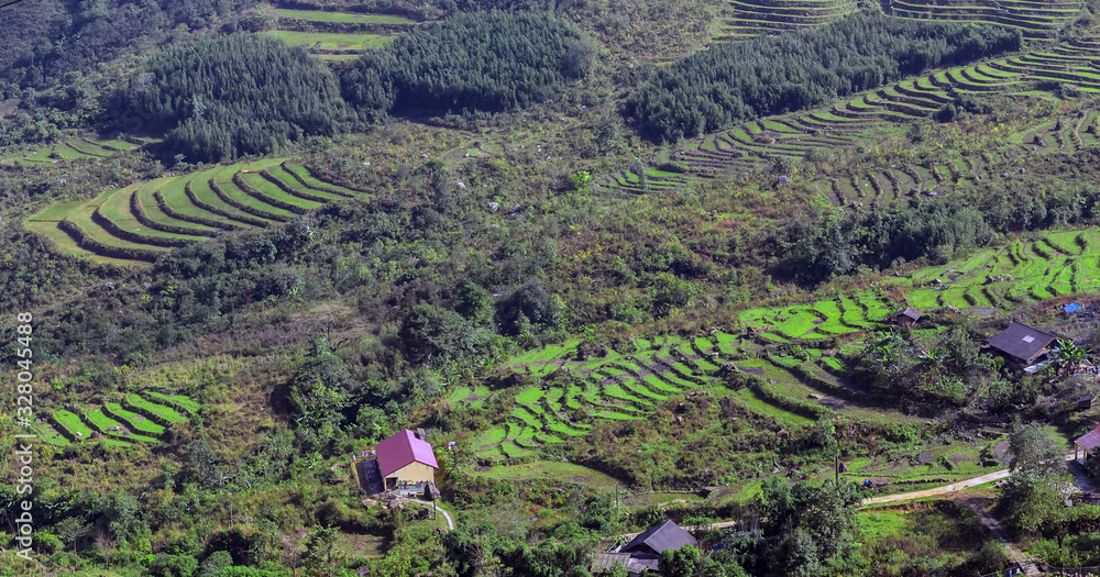 Rice green Field Terraces Sapa, Vietnam
