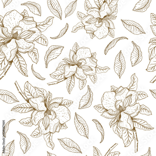 Vector seamless pattern with magnolia leaves and flowers