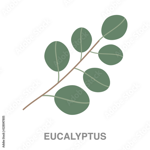 eucalyptus flat icon on white transparent background. You can be used black ant icon for several purposes. 